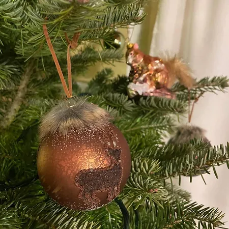 Romanticka Timka * Dolni Dvur