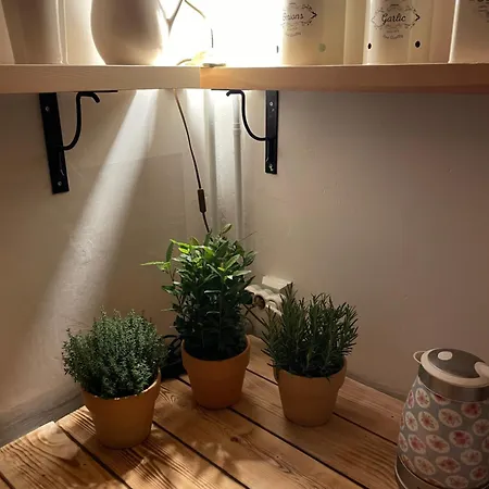 Romanticka Timka Dolni Dvur