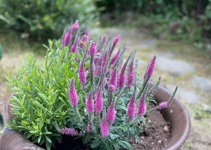 Romanticka Timka Chalet Dolni Dvur