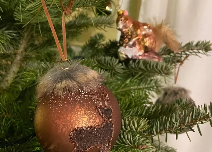 Romanticka Timka * Dolni Dvur