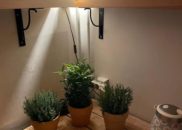 Romanticka Timka Dolni Dvur